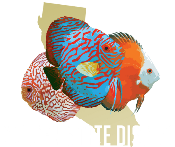 Golden State Discus