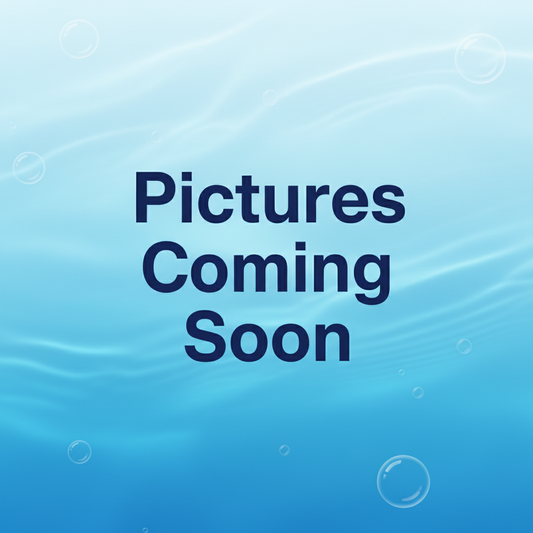 Albino Platinum Discus 4.5-5"